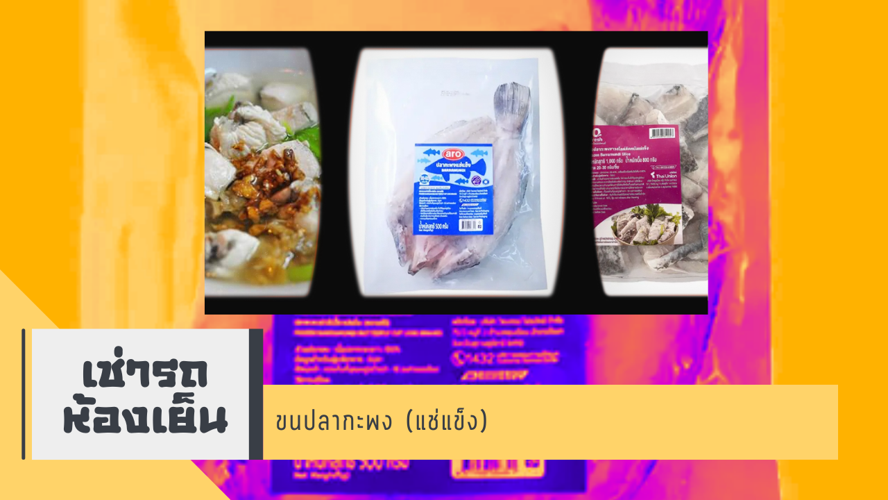 sea bass 240368